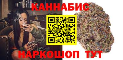 сатива Камышлов